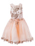 Girls Blush Satin Glitter Tulle Gold Lace Party Dress 2-16 - SophiasStyle.com front